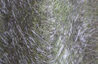 Rosliston fibreglass roof work